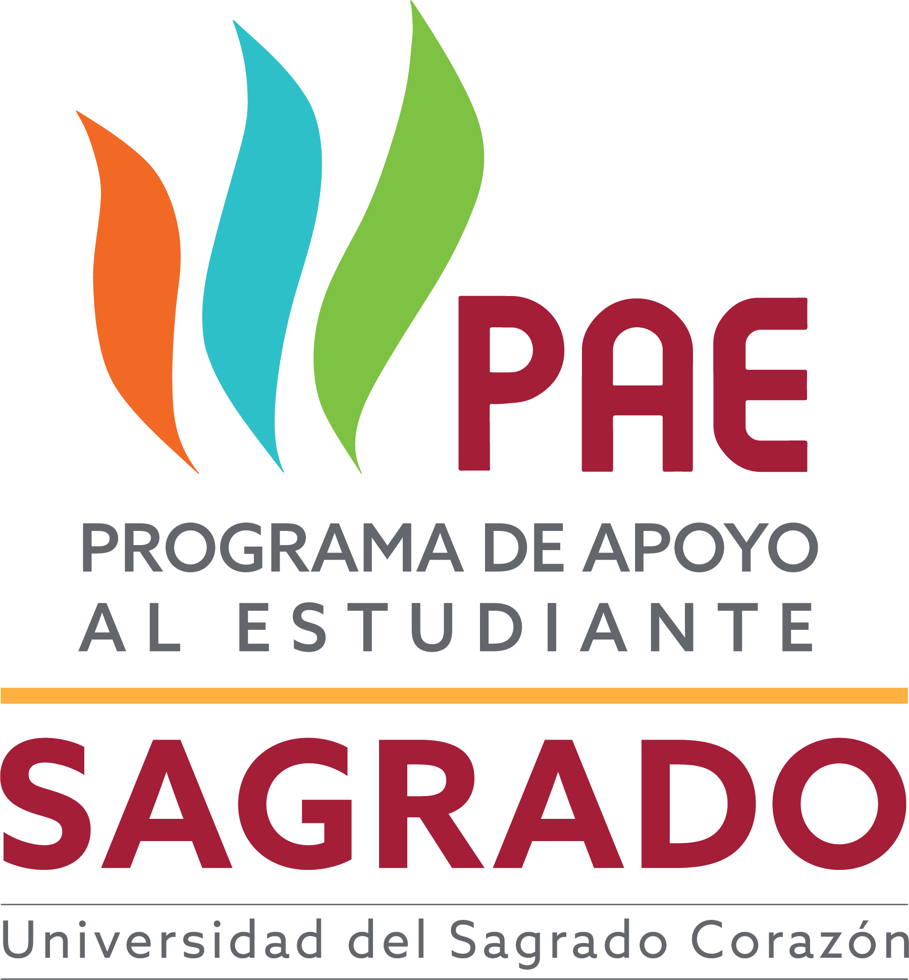Logo PAE Logo Programa de Apoyo al Estudiante