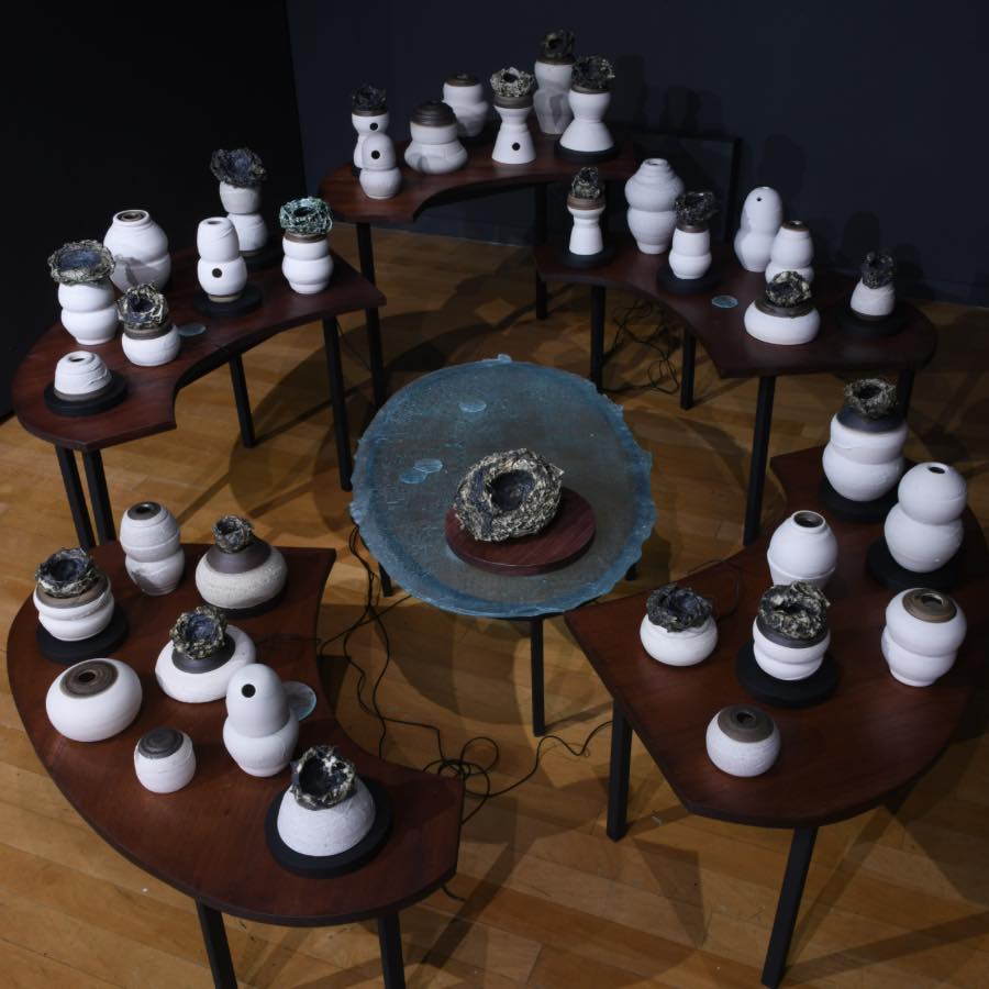 Aves y Agüeros, Exposición individual de Dhara Rivera en la Galería de Arte de Sagrado