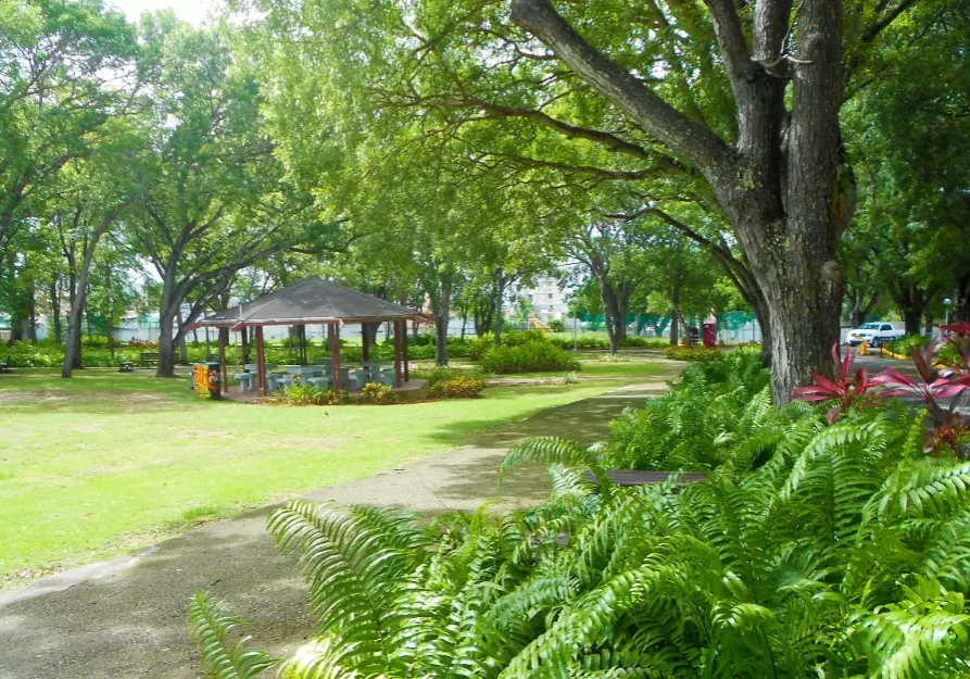 universidad-del-sagrado-corazon_836_gallery3 (1)