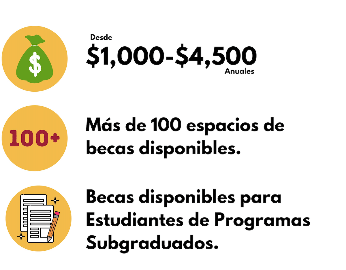 becas-icons becas-icons
